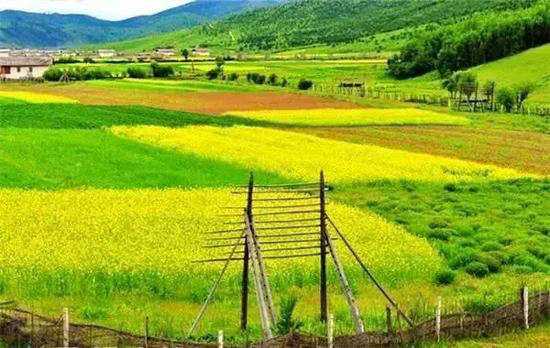 夏季最佳自驾旅行地你选对了吗？（上）