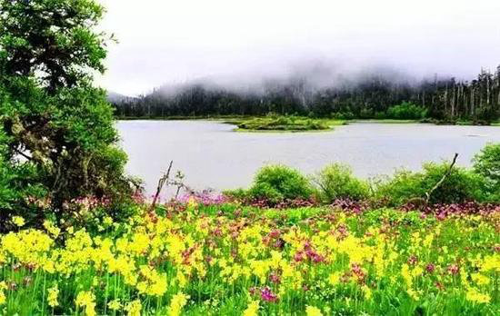 夏季最佳自驾旅行地你选对了吗？（上）