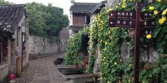 自驾个个诱人的江南16个著名古镇吧（下）