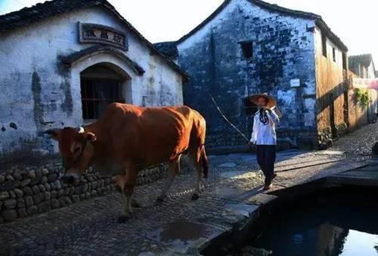 自驾个个诱人的江南16个著名古镇吧（下）