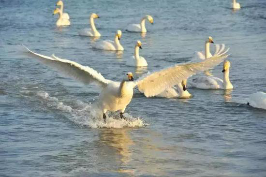 只有7%的人自驾过！中国原始处女地美景