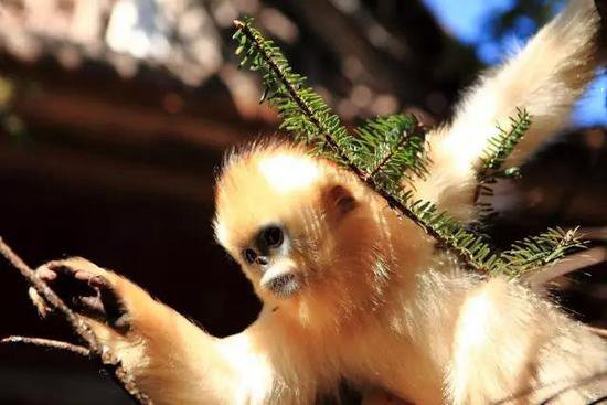 夏季最适合自驾避暑的十大清凉地（下）