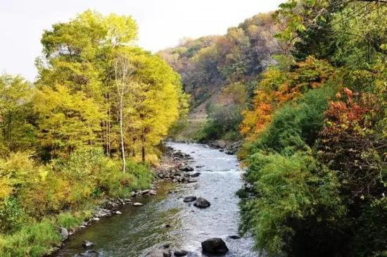 夏季最适合自驾避暑的十大清凉地（下）