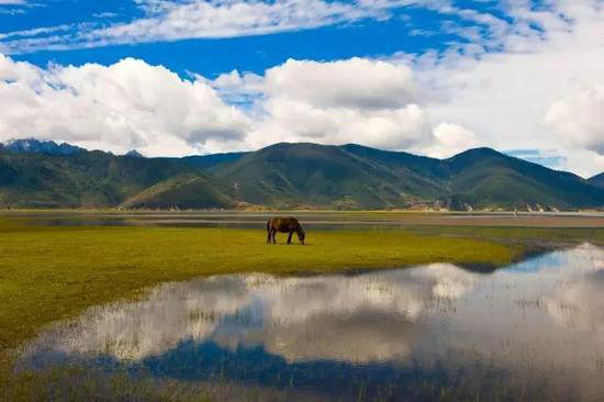 夏季最适合自驾避暑的十大清凉地（下）