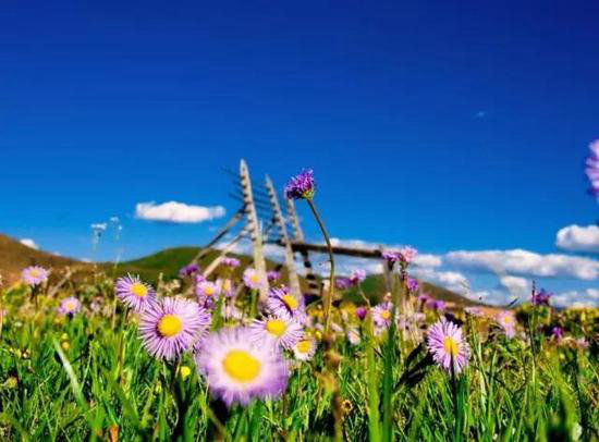 夏季最适合自驾避暑的十大清凉地（下）