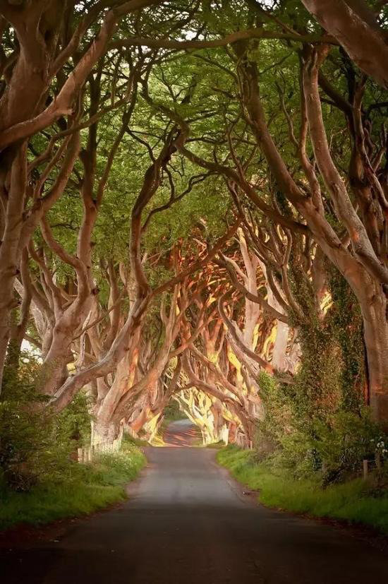 30个颜值爆表旅行地 自驾去过几个？(上)