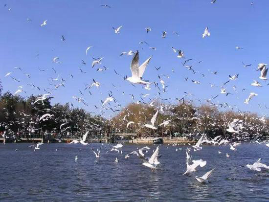 夏季最适合自驾避暑的十大清凉地（下）