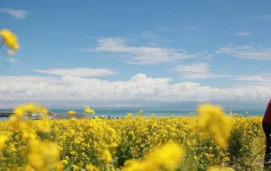 夏季最适合自驾避暑的十大清凉地（下）