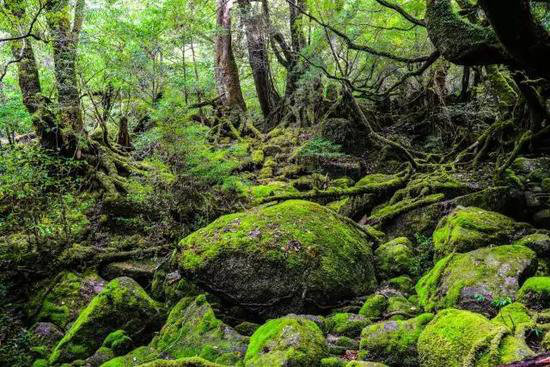 30个颜值爆表旅行地 自驾去过几个？(下)