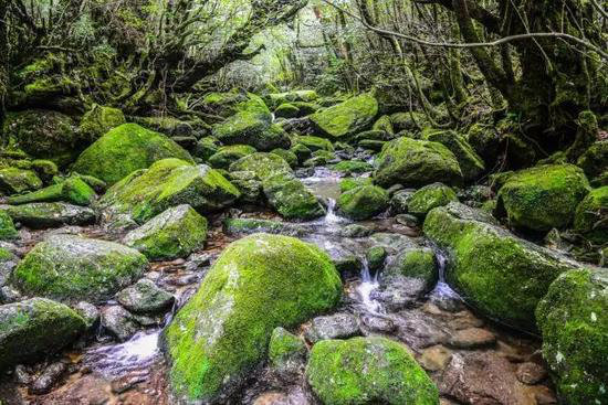 30个颜值爆表旅行地 自驾去过几个？(下)