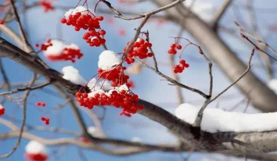 爱自驾？来看看这张远方的“梦想清单”