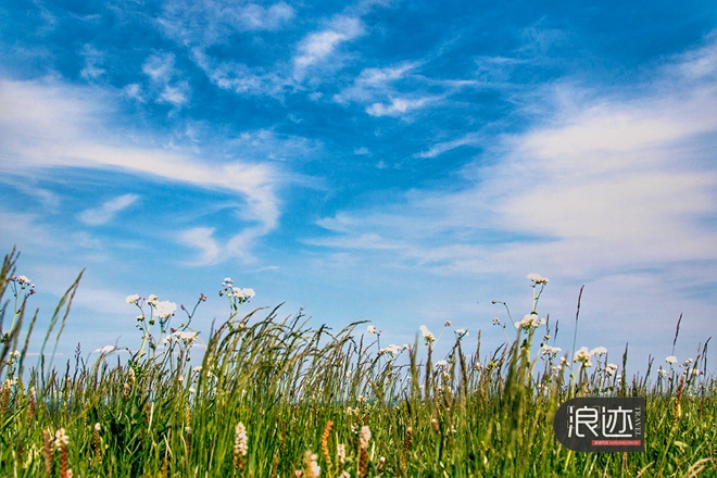 浪迹空中草原 自驾游还能这么玩？！