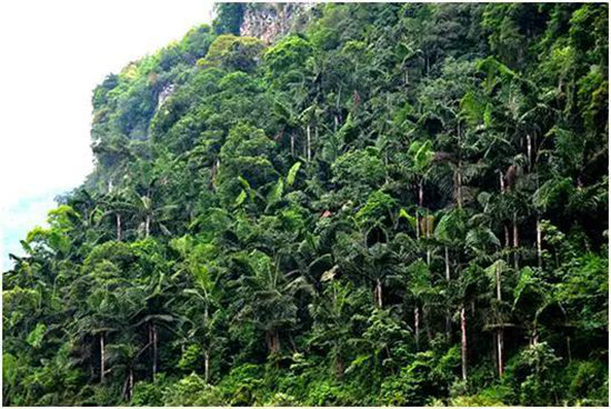 中国最美的20座呼吸小城 自驾起来吧(上)