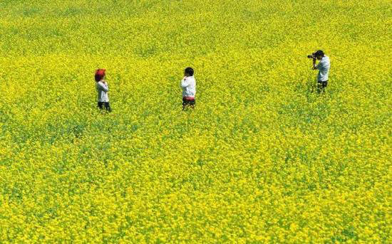 再不自驾旅行就老了 去看世上最美的花海