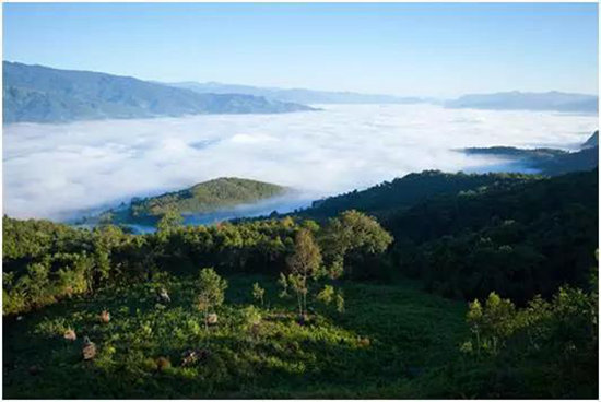 中国最美的20座呼吸小城 自驾起来吧(上)