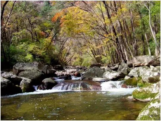 中国最美的20座呼吸小城 自驾起来吧(上)