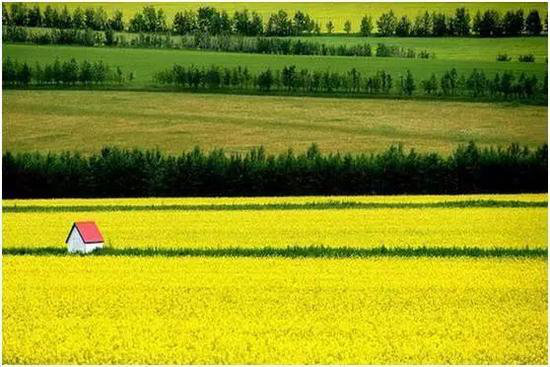 中国最美的20座呼吸小城 自驾起来吧(上)