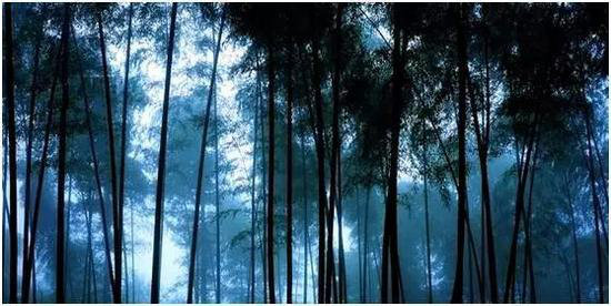 中国最美的20座呼吸小城 自驾起来吧(下)