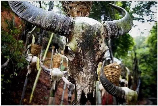 中国最美的20座呼吸小城 自驾起来吧(上)