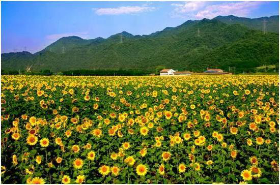 中国最美的20座呼吸小城 自驾起来吧(下)