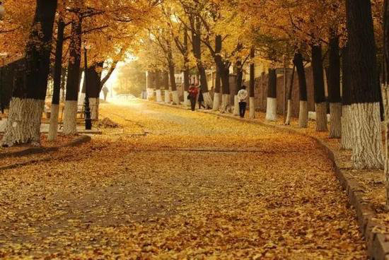 找一个最爱的TA 自驾走遍中国最美旅行地