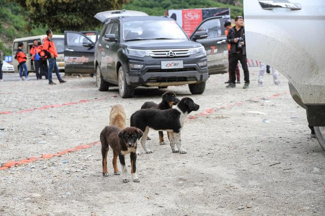 跟随长安CX70 追寻那一束最美阳光（上）