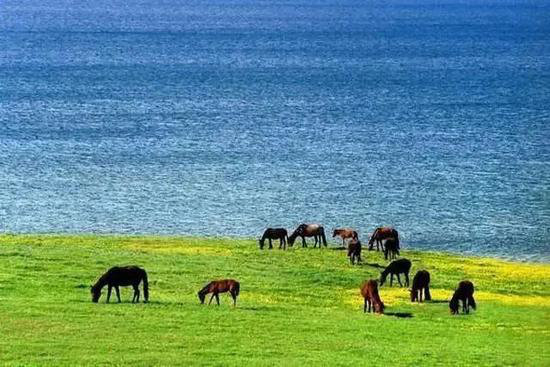 没自驾过新疆 你就不知道祖国多么绚烂！