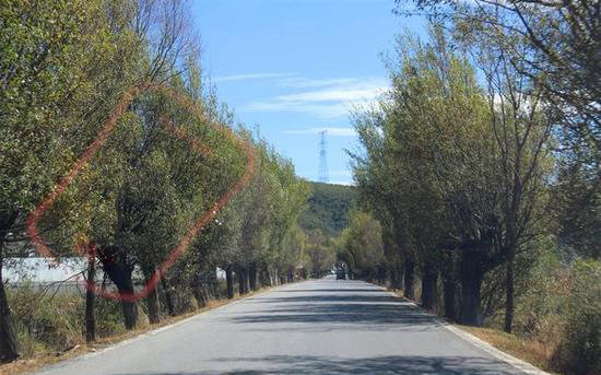 独自旅游不寂寞 自驾路上乐趣与风景共存