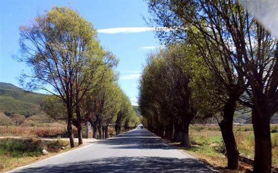 独自旅游不寂寞 自驾路上乐趣与风景共存