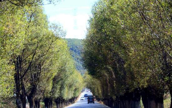独自旅游不寂寞 自驾路上乐趣与风景共存