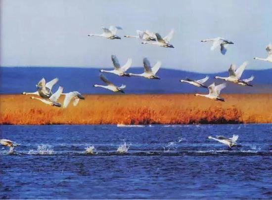 仅7%的人去过 国内13个原始自驾处女地