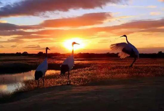 仅7%的人去过 国内13个原始自驾处女地