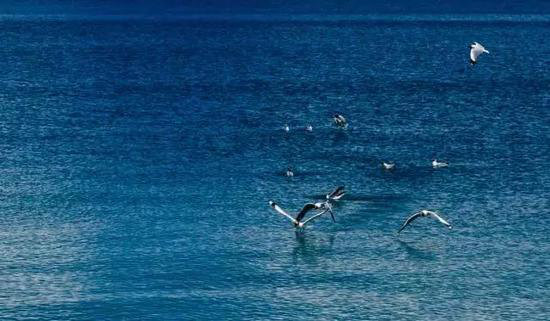 中国最美七大湖泊 自驾三个就不枉度此生！