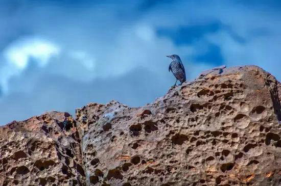 《国家地理》评选2016夏季全球最佳自驾地