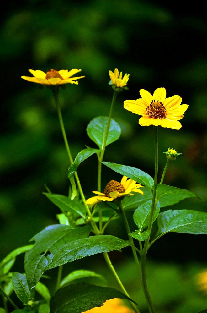 浪迹辽南，新奇难忘的华晨房车之旅