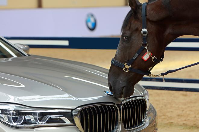 2016全新BMW 7系与马术体验日