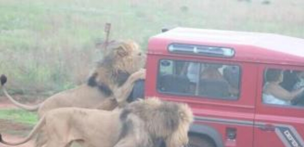 不要问我为啥喜欢自动挡