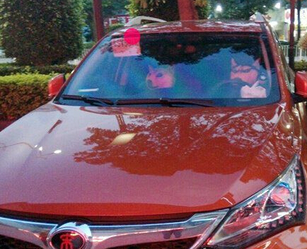 不要问我为啥喜欢自动挡