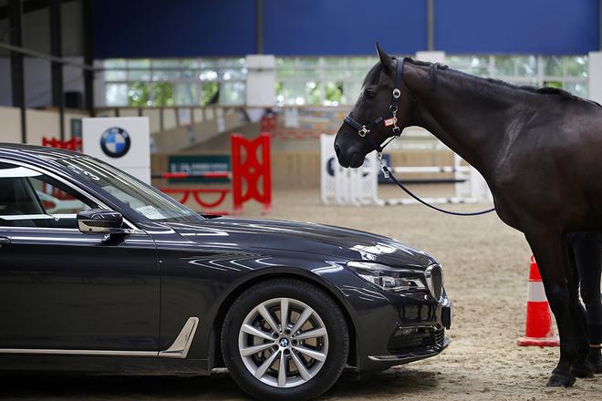 2016全新BMW 7系与马术体验日