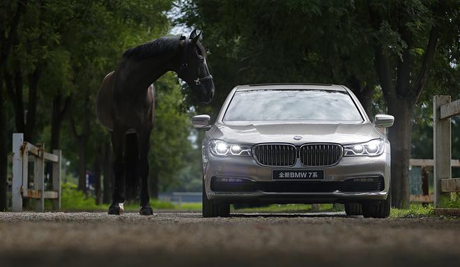 2016全新BMW 7系与马术体验日