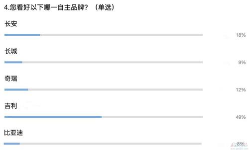 自主增幅连超合资 未来“逆袭”被市场看好
