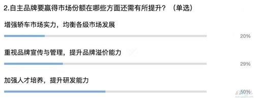 自主增幅连超合资 未来“逆袭”被市场看好