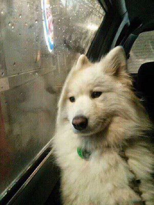 第一眼看错的自动去面壁