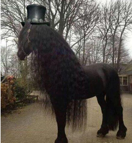 第一眼看错的自动去面壁