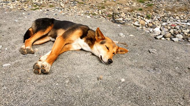 心百年 悦天界，江西五十铃川藏朝圣之旅