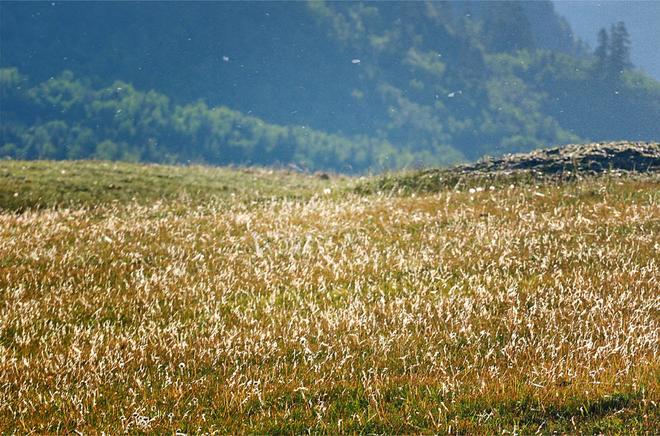 心百年 悦天界，江西五十铃川藏朝圣之旅