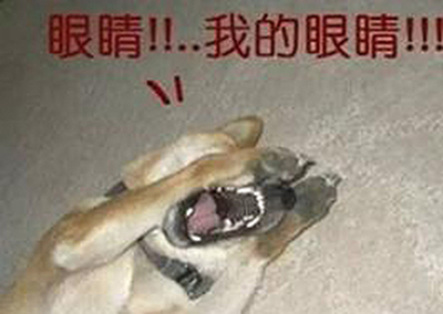 路虎轮胎炸伤的除车主还有舆论的“狗眼”