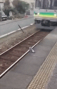 脚踏两条船的女人不能要 脚踩两辆车的？