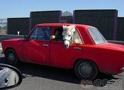 妹子很郁闷！为啥旁边的座位是空的呢？