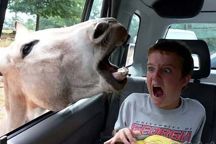 妹子 开车做这事虽然刺激但是很危险啊！